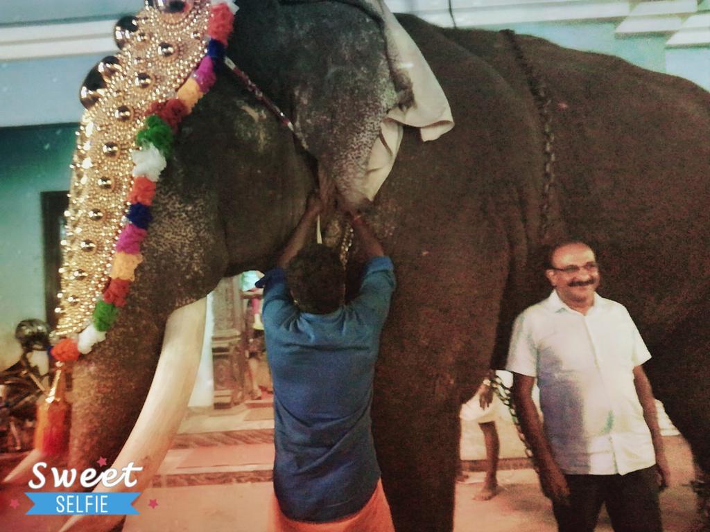 Grace Guest Home Thrissur Luaran gambar